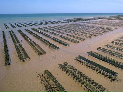 Maison Renovee En Pierres Sejour Spacieux Avec Jardin Et Terrasse Amenagee Pres Omaha Beach & Bayeux A 5Mn De La Mer Tous Commerces Commes 外观 照片
