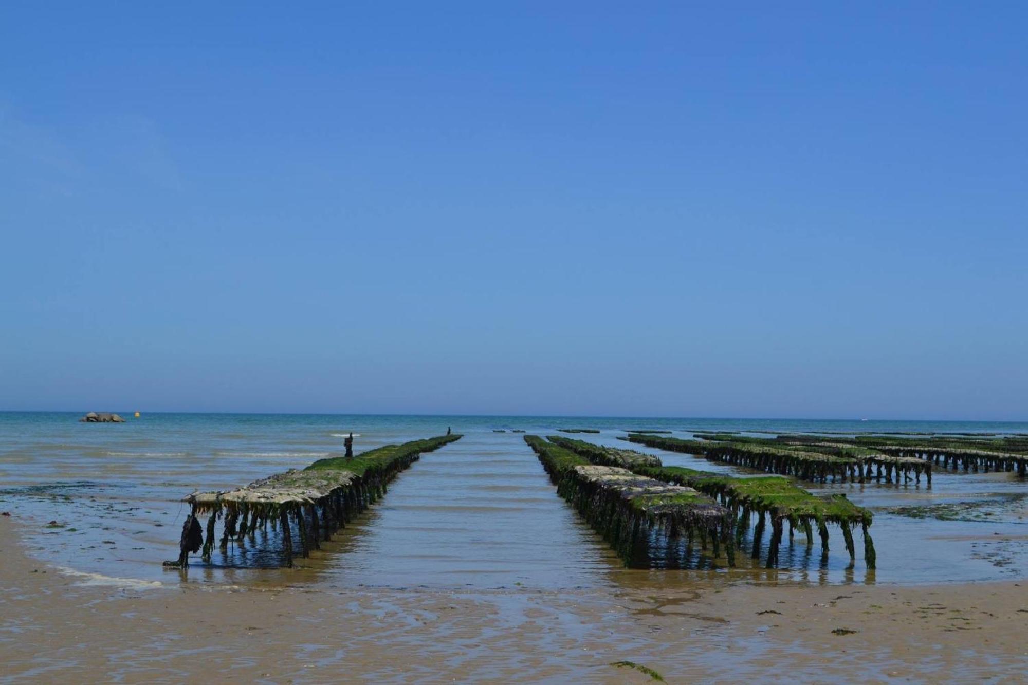 Maison Renovee En Pierres Sejour Spacieux Avec Jardin Et Terrasse Amenagee Pres Omaha Beach & Bayeux A 5Mn De La Mer Tous Commerces Commes 外观 照片